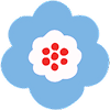 Flowers 20