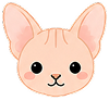 Kitty 11