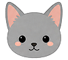 Kitty 16