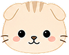 Kitty 17