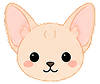 Kitty 18