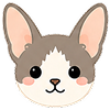 Kitty 19