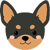Puppy 11
