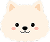 Puppy 12