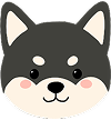 Puppy 13