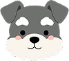 Puppy 15