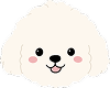 Puppy 19