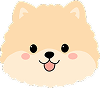 Puppy 21