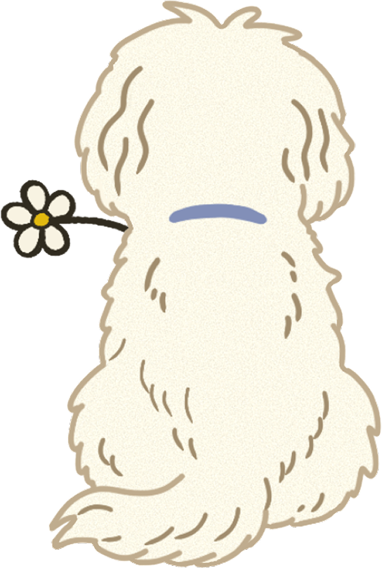 Puppy 3