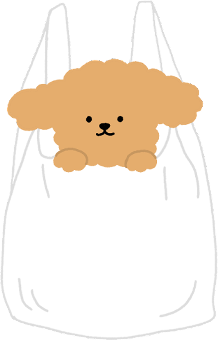 Puppy 4