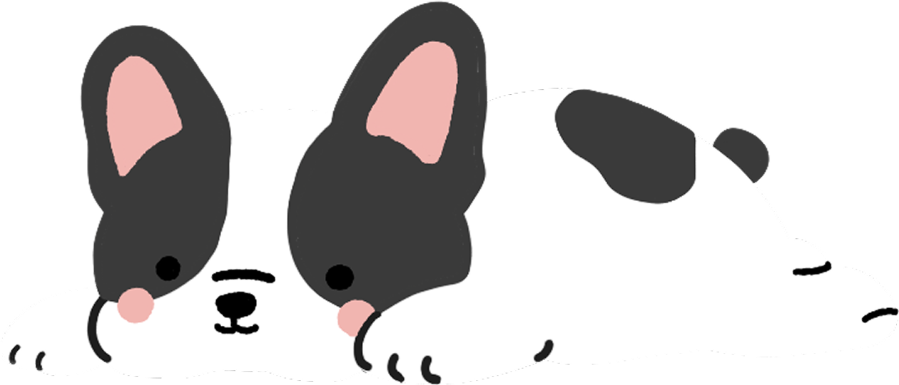 Puppy 5