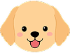 Puppy 6