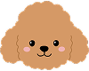 Puppy 8