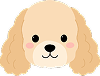 Puppy 9